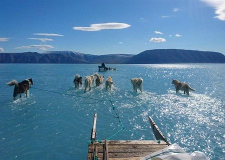 Lo sconcerto per la tragedia del Rio Grande, Carola e l’Artico liquefatto